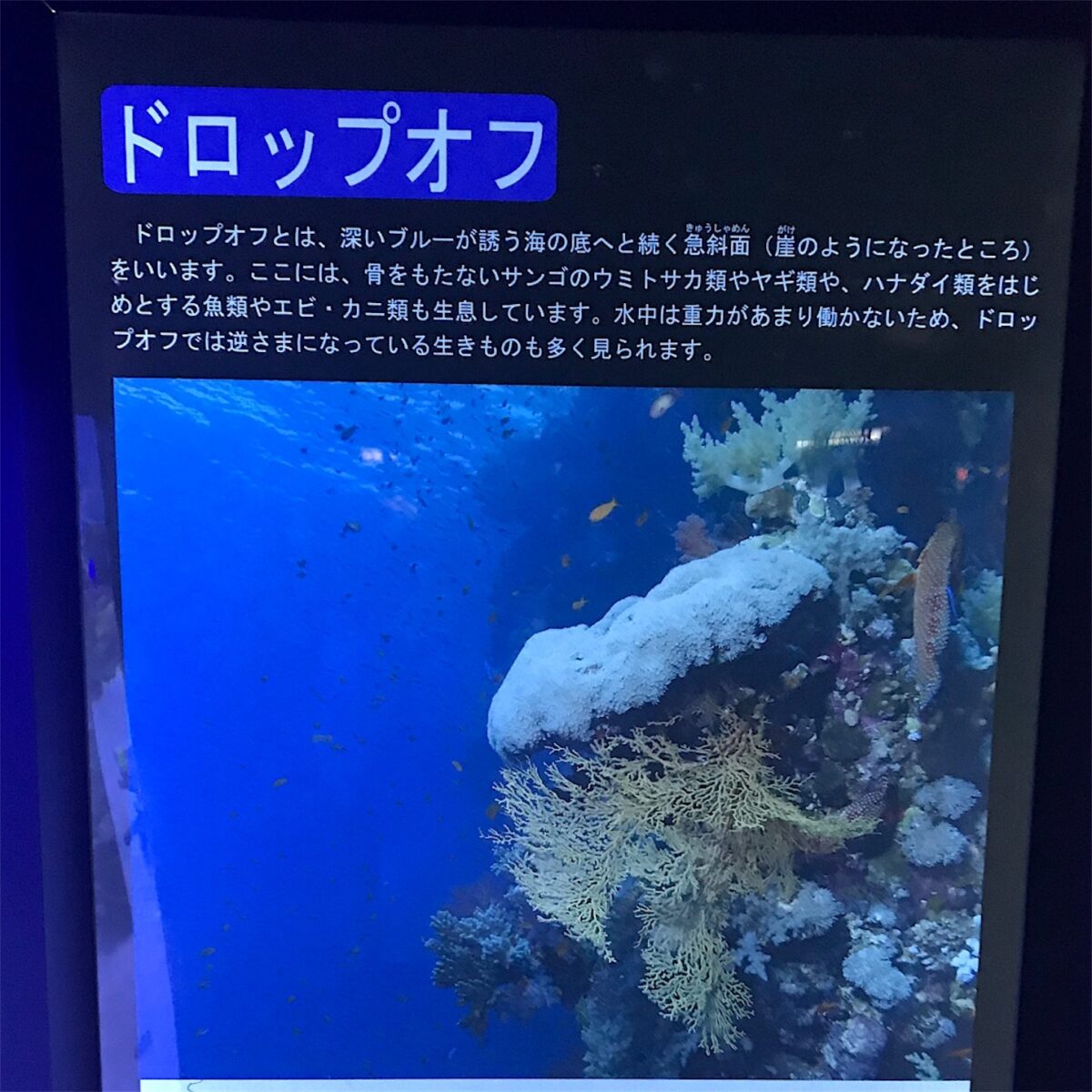 2019-2020 茨城シクロクロス第3戦 涸沼 Day1。ナイターレースは寒い。