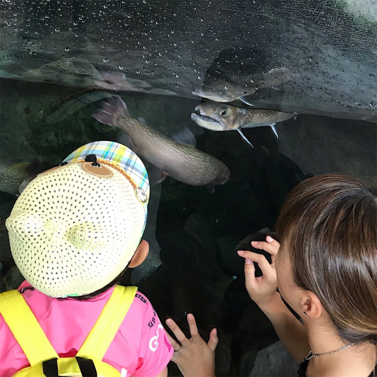 2019年 JBCF那須塩原クリテリウム E1：失望の那須Day1