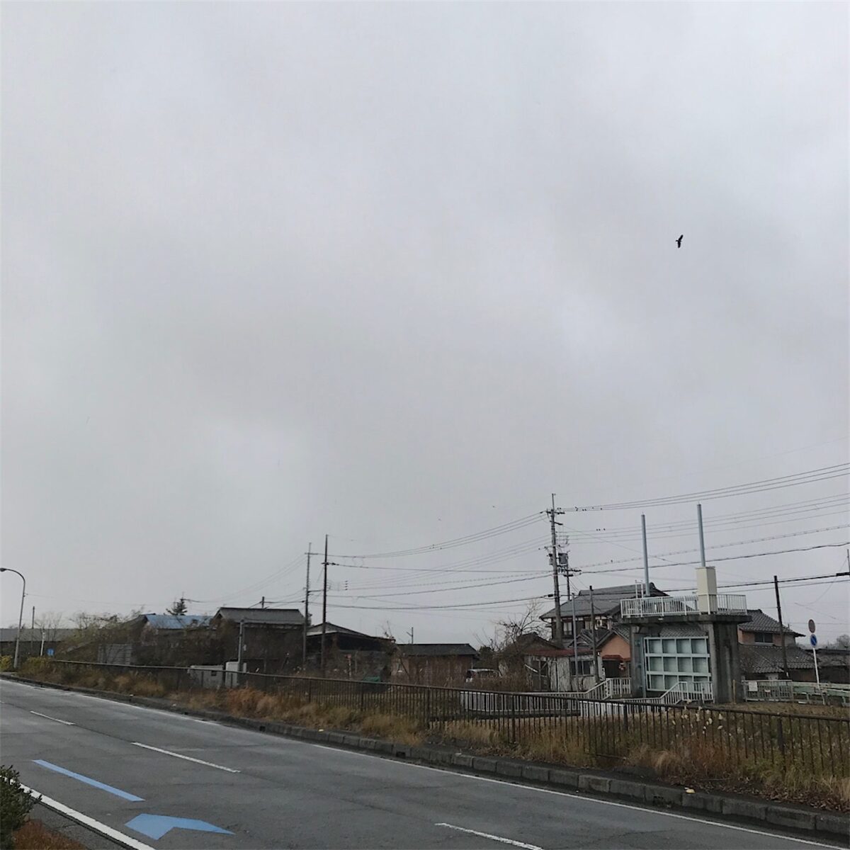 そうだ、湖へ行こう!【3日目】ビワイチ。過酷すぎて北湖のみ。