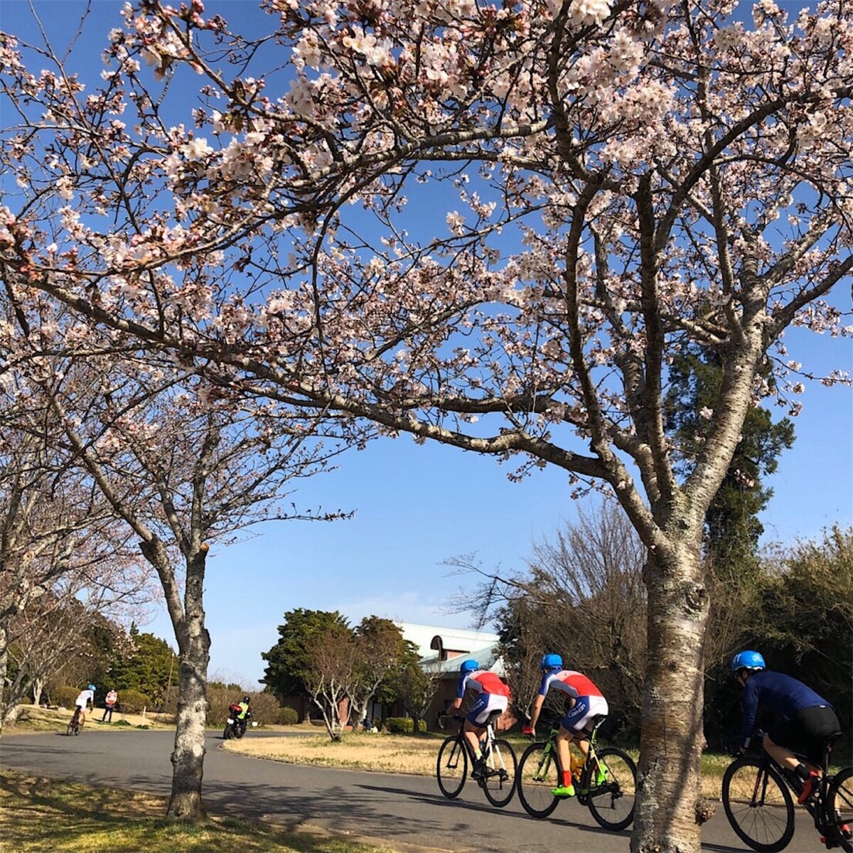 2020年 JCRC特別戦 下総 個人エンデューロクラス。旦那はレース、奥様は桜を見る女子会。