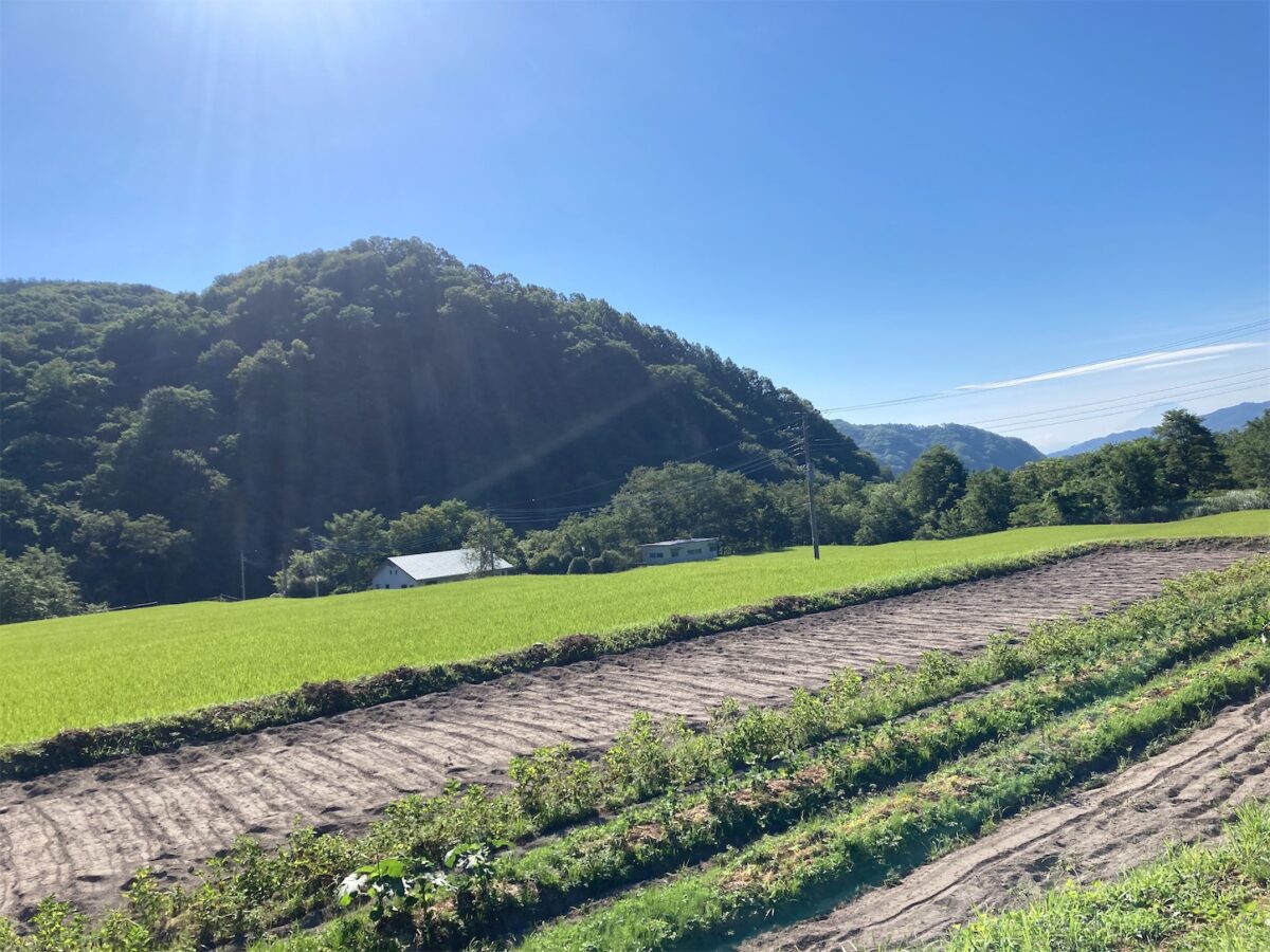 お盆休みに勝手にグランフォンドピナレロ八ヶ岳