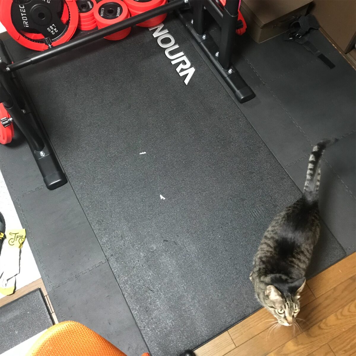 6畳の自転車部屋にホームジムを設置したので、費用とか使い勝手とかを書いてみる。