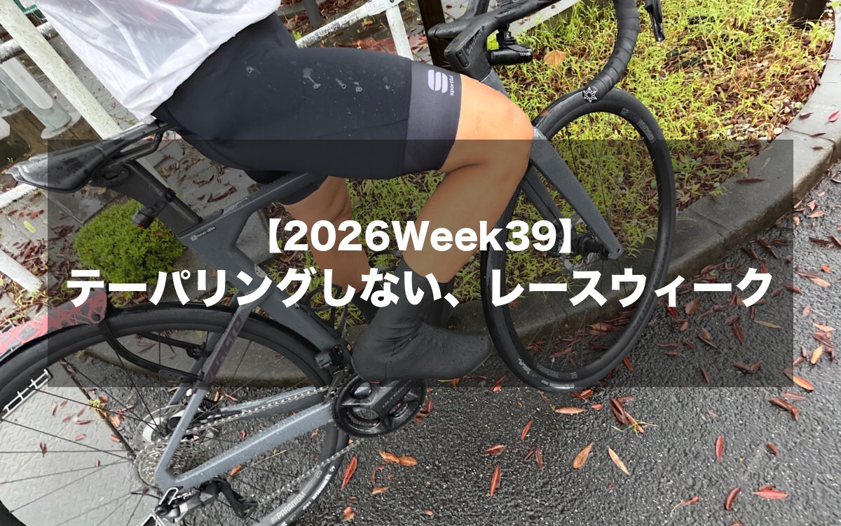 テーパリングしない、レースウィーク【2026Week39】